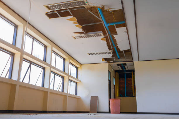 Best Water damage restoration services  in Astor, FL