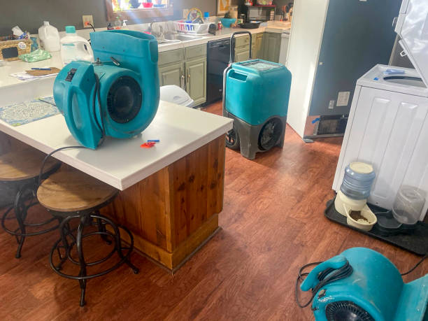 Sewage cleanup and water damage restoration in Astor, FL