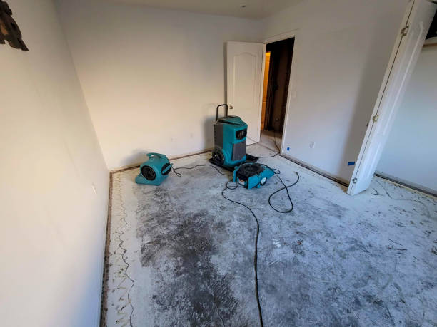 Best Emergency water damage restoration  in Astor, FL