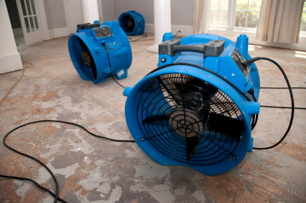 Best Sewage cleanup and water damage restoration  in Astor, FL