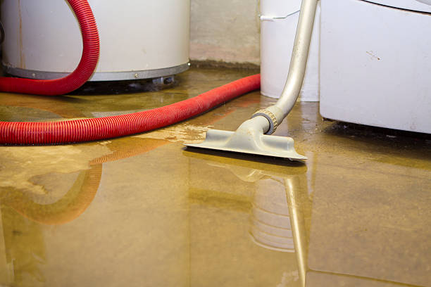 Best Water damage restoration specialists  in Astor, FL