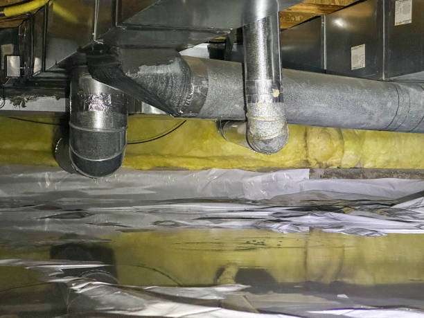 Best Water damage contractors near me  in Astor, FL