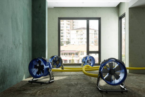 Best Fire Damage Restoration  in Astor, FL